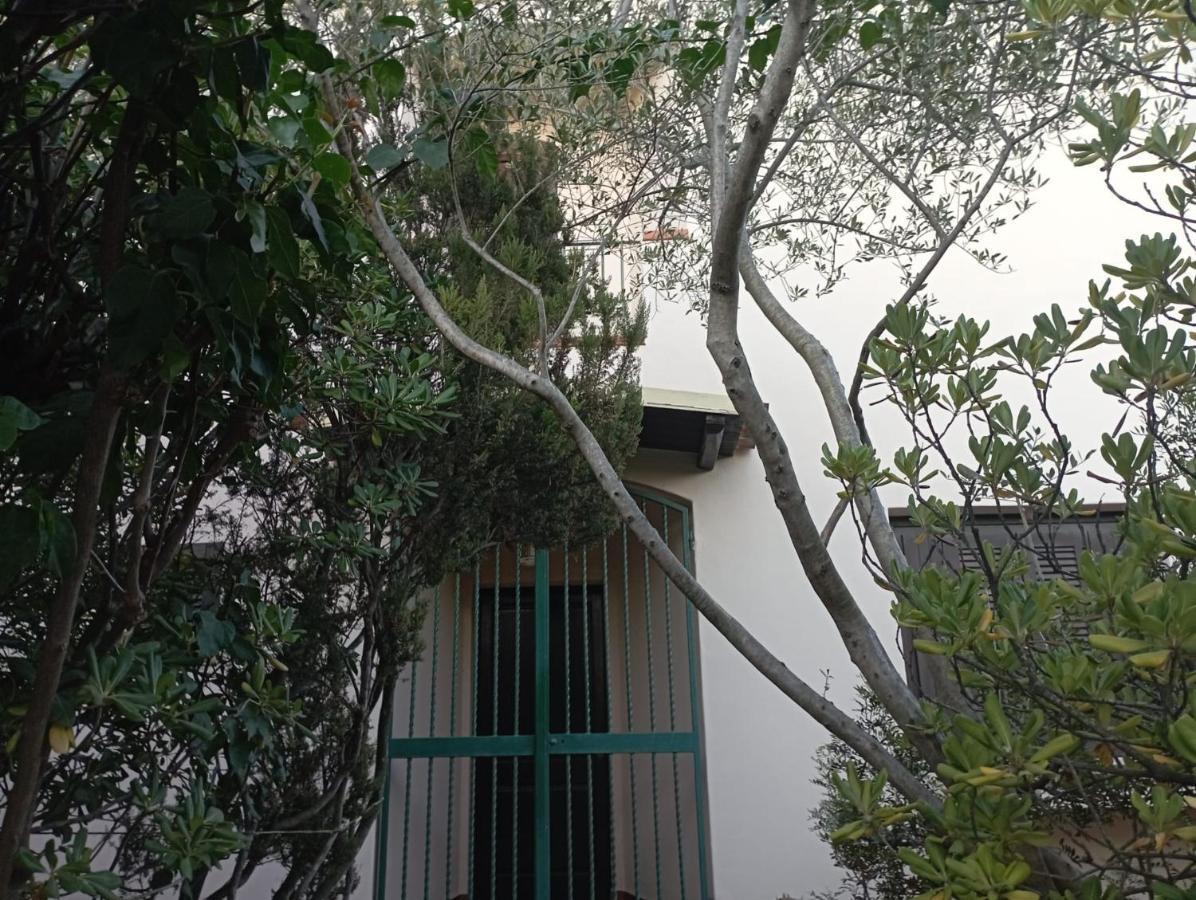 Bed and Breakfast Domus Garden Olbia Exterior foto