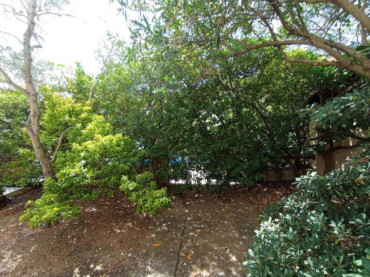 Bed and Breakfast Domus Garden Olbia Exterior foto